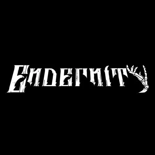 Cover Live Endernity